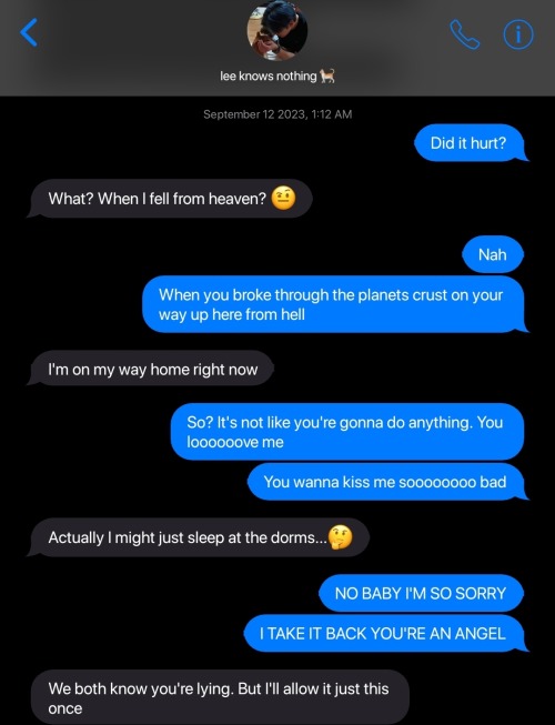 Skz - Lee Know Boyfriend Texts