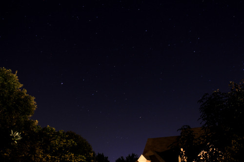 fangrillqueen: nick-avallone: last night was my first time taking long exposure pictures and i had s