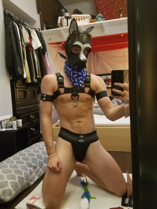 thepittsburghpuppy:Ruff! Ruff! Aroooooo!