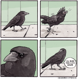 falseknees:“and I’ll start with you,