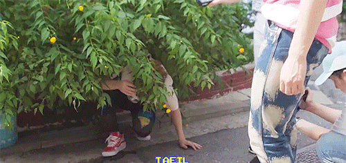 taeiloves: king of posing, king of originality
