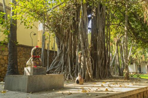 Tree shrine with nagakal at Heritage Madurai Lux Villa, Tamil Nadu