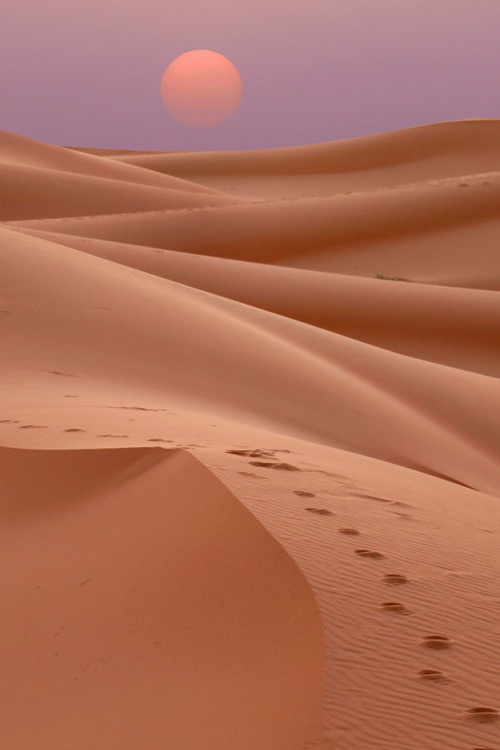 vurtual:Footprints into Sunset(by Walter Weinberg)