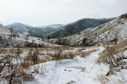 gratefully-dabbed:  glazed-and-kinda-dazed:  d-dracarys-s:  acidlipgloss:  photoatlas:  Colorado Appreciation Post “We are now in the mountains and they are in us, kindling enthusiasm, making every nerve quiver, filling every pore and cell of us.” ― John