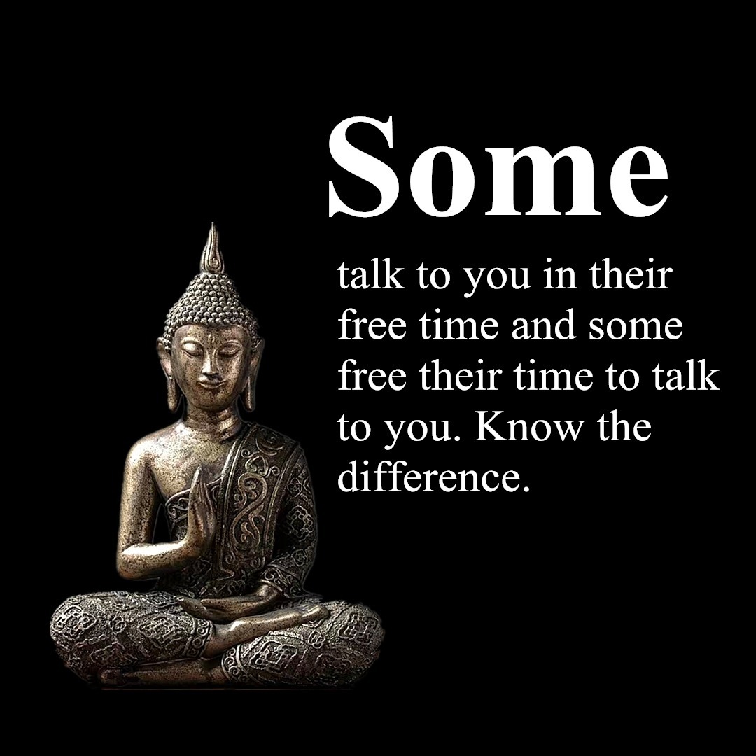 zengardenamaozn:  The Meditation Quotes 
