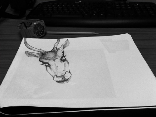 ouieer:  ouieer:  Hopefully I get off my arse tomorrow and start filling this scrap paper with pretty animals.    Update :) … 