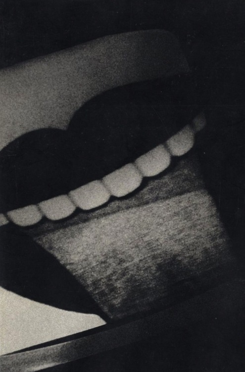 magictransistor:  Daidō Moriyama 