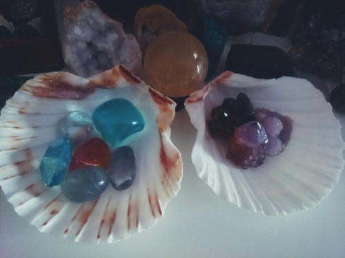 hannahlouisemiles:  My Valentines Day dinner had these shells in it for decoration so I kept them, c