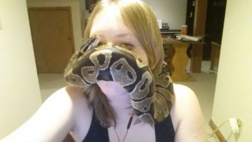 thatonemexicanperson: kookootegu: hissssssss: fimbry: scalestails: rainbowsnakes: reptiliaherps: &am