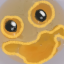 lazyinfp