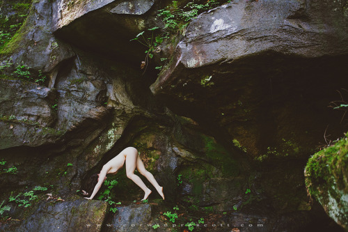 theresnoplacelikeyourmouth:  by corwinprescott​ / Daniel Boone National Forest, KY