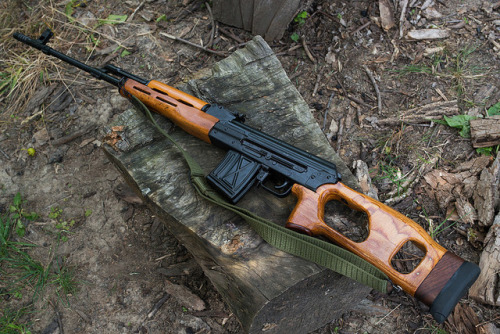 gunrunnerhell: SSG-97 Romanian semi-automatic rifle chambered in 7.62x54R. Although more commonly kn