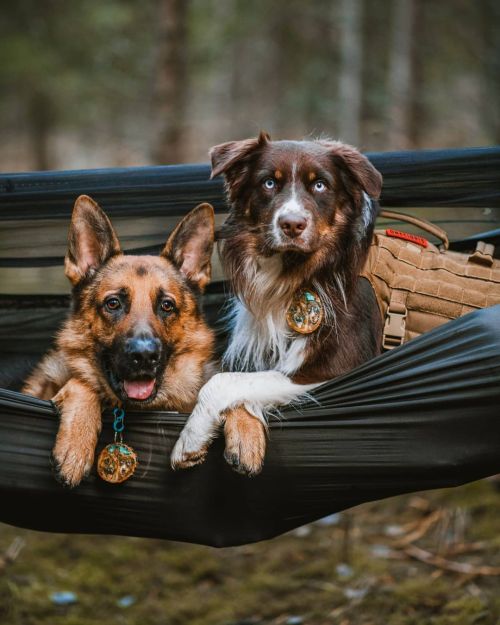 “Head out on our hammock camping and hang tight with our furry family this weekend!” #On