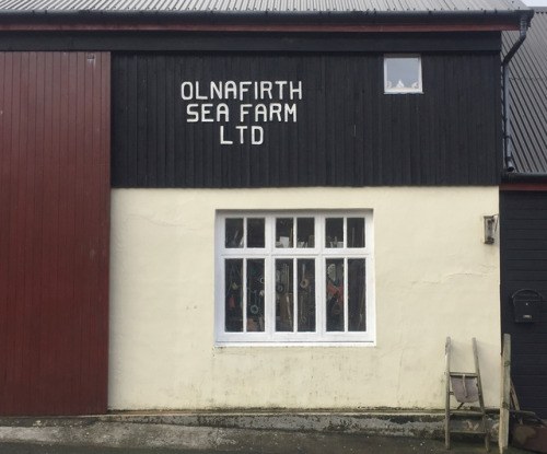 marederia:☞About Shetland signs1-Olnafirth Sea Farm LTD - Great for peeping into the windows (( con 