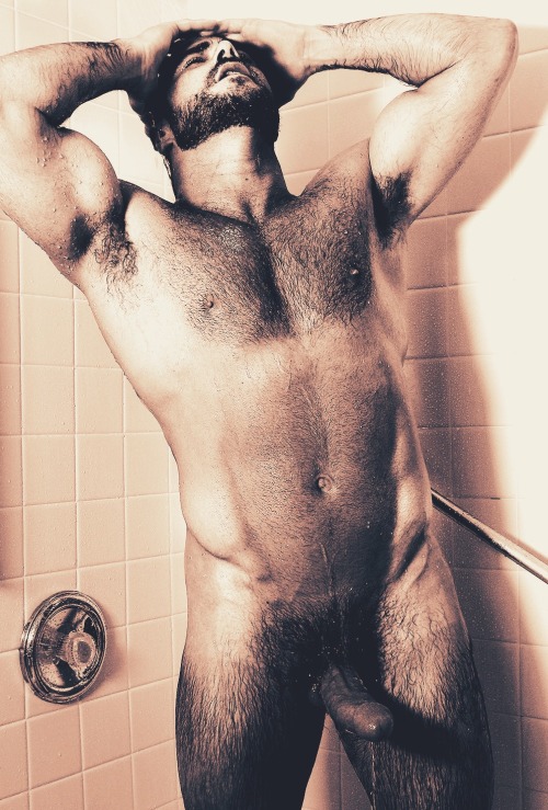 hairy-chests:  http://hairy-chests.tumblr.com/ porn pictures