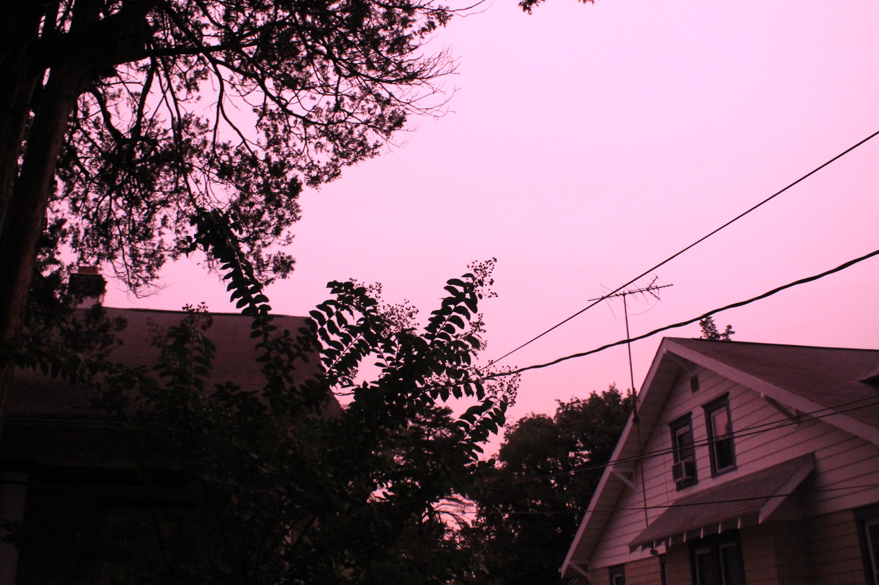kench-friss:   for some beautiful reason there were pink clouds outside my house