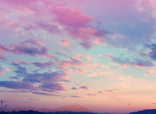 nehrdy:  ♕ bambi/indie blog ♕