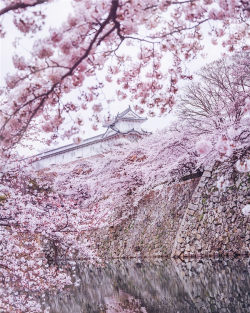 japan-overload: by   Duy Phạm Nhật