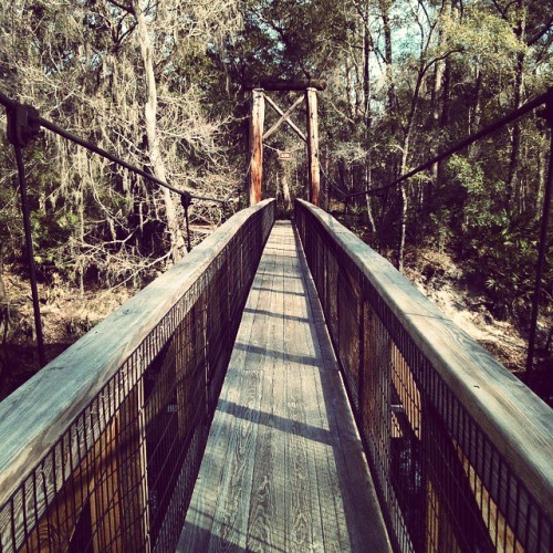 It might be chilly out, but it’s calm and quiet and perfect for a hike out at O'Leno state par