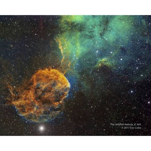 Sharpless 249 and the Jellyfish Nebula #nasa #apod #jellyfish #nebula #jellyfishnebula #supernovaremnant #ic443 #neutronstar #gas #dust #etageminorum #star #stars #emissionnebula #sharpless249 #interstellar #milkyway #space #science #astronomy