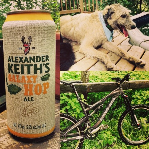 Perfect day ingredients! Hand built gnarly single track, happy-exhausted Wolfe, and post ride brew&h