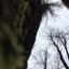 a-wandering-writer1