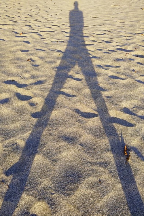 Sandy Shadow Self-Portrait