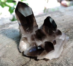 lunar-bunnie: ☆☾Smokey Quartz - Photos by Lunar-Bunnie ☽☆ 