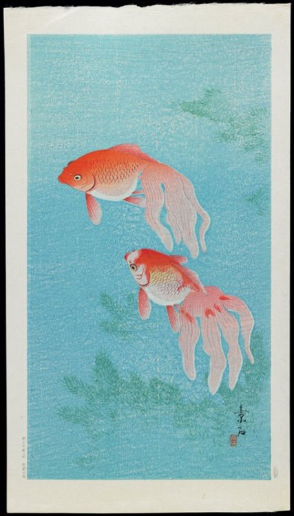 mia-japanese-korean: Goldfish, Komori Soseki, c. 1928-1930, Minneapolis Institute of Art: Japanese a