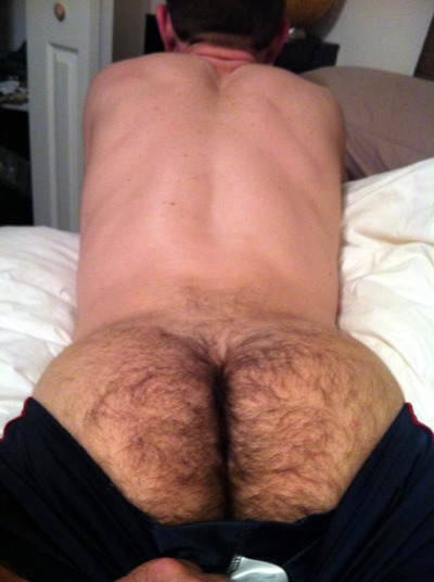 Hairy Buttholes Tumblr