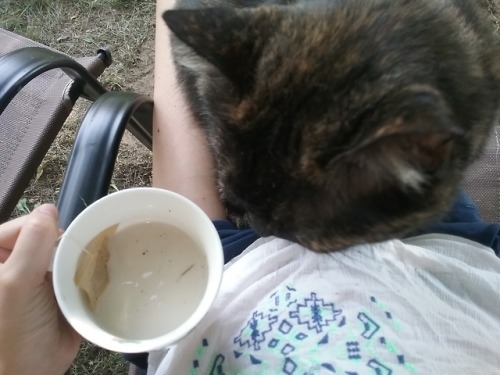 littlelarajean:Thanks for depositing dirt in my tea. Yes, that dirt.