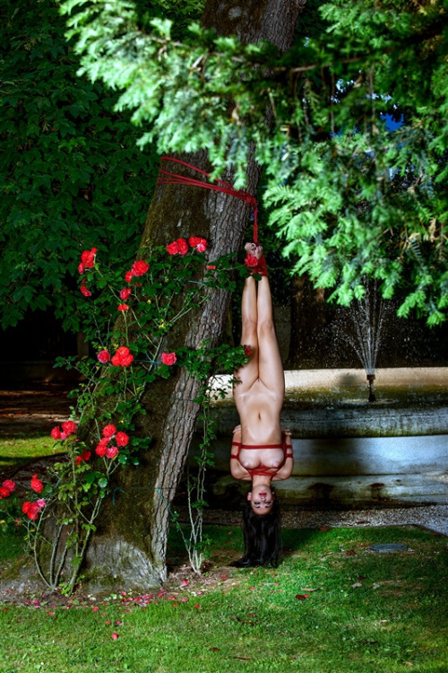 https://extreme-bondage.tumblr.com/post/139961332145