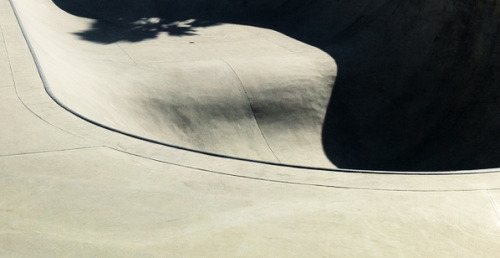 LAKE CUNNINGHAM REGIONAL SKATEPARK Skatepark Designer : Wormhoudt Location: San Jose, California, US