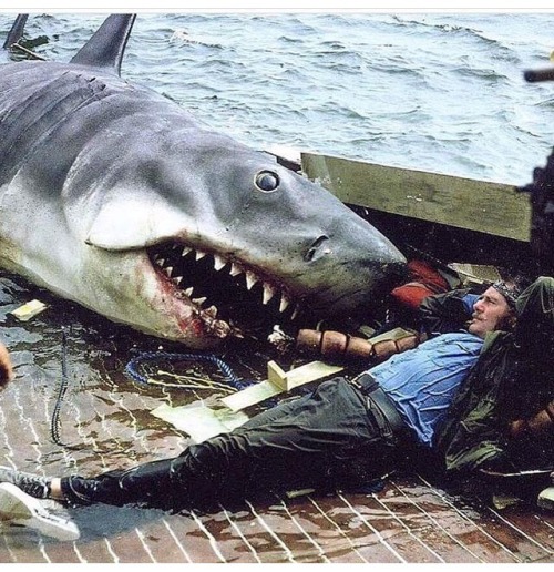 antipahtico: Quint | Robert Shaw ~ Jaws (1975)