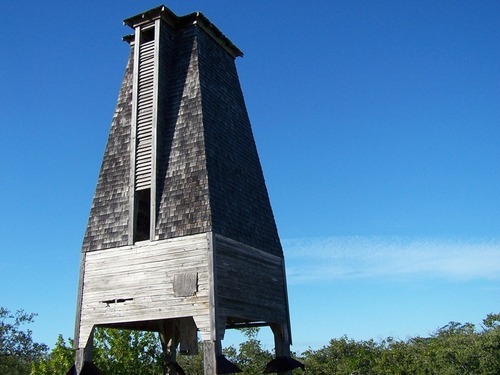 In 1929 a "Bat Tower" was built in the Florida Keys to control mosquitoes. It was filled with bats, which promptly flew away - never to return.