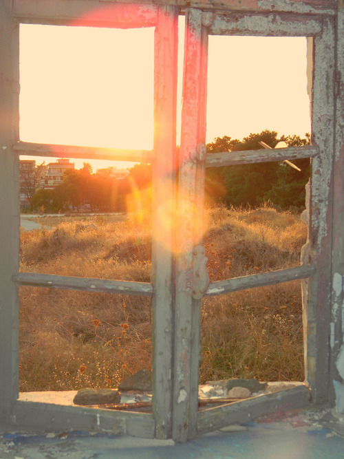 silly-luv:  ♡ find your best posts on my blog ♡