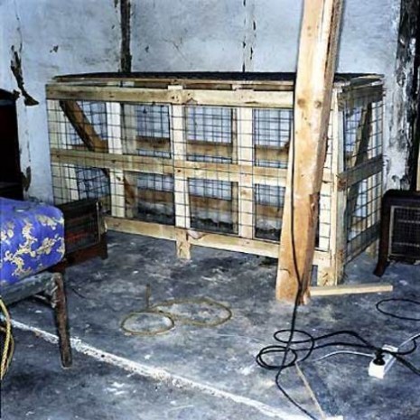 enucleator:  Some of the photos taken in Armin Meiwes' house, where he killed and
