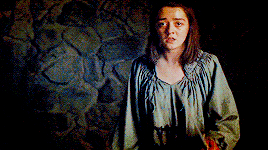 sansarya:I’mnot a lady, Arya wanted to tell her, I’m a wolf.