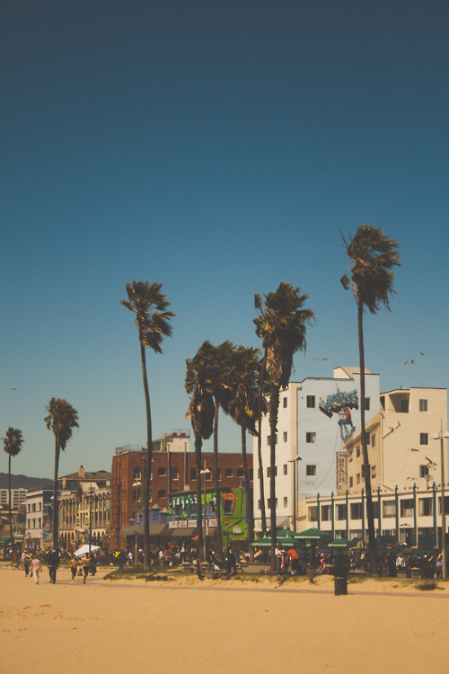 dissapolnted:  vertical/personal/love♥ 