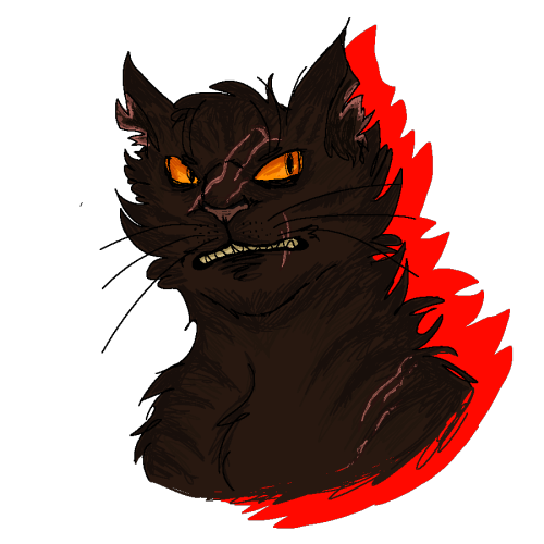 panzerfavst:I haven’t read a Warrior Cats book for 2 years or something but here’s my son