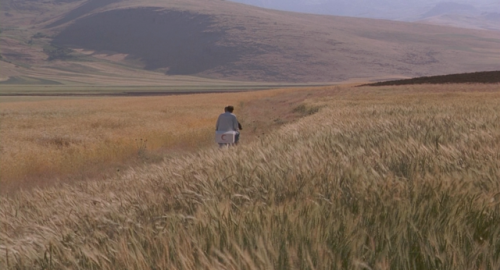 highvolumetal: The Wind Will Carry Us ,  Abbas Kiarostami , 1999.