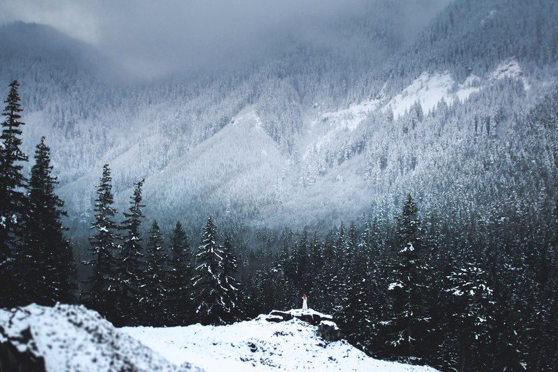 vhaelenleycrest:  Blood in the Snow…   DISLIKE!  *squints*  Best not be dying
