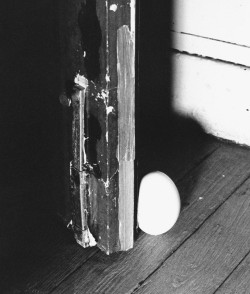 3wings:  Egg Door Stopper Martin Margiela