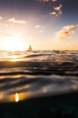 wavemotions:Sunset Bonaire by Andy Troy