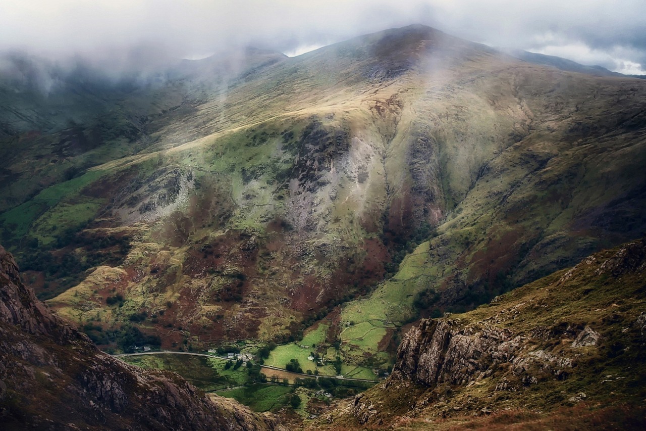 sublim-ature:  Great BritainAnn Paine