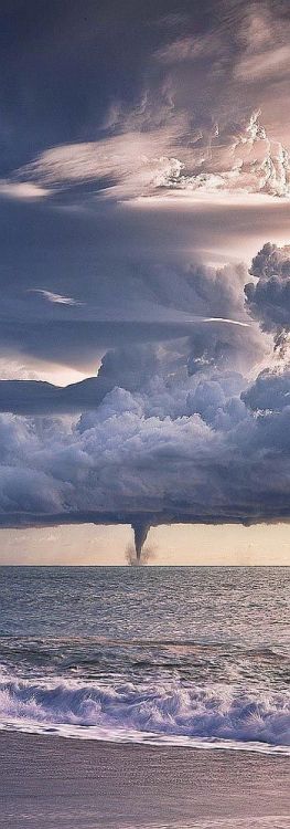 alwayssaltymiracle: Active Water Spout