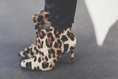 Fashion blogger Sylvia Postolatieva from postolatieva , wearing Smilingshoes leopard ankle boots.Sou