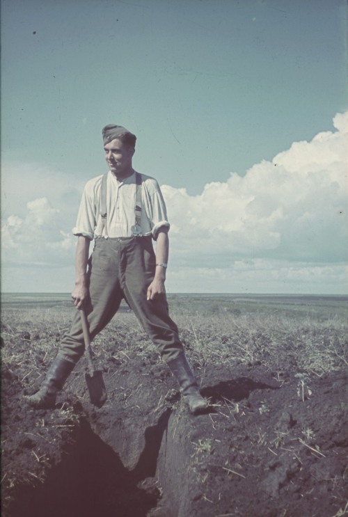 ppsh-41:  German soldier photographed while digging a trench in the Soviet Union. Photographer: Fran