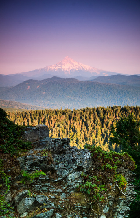 Porn photo breathtakingdestinations:   	Mt. Hood - Oregon