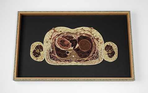 dieselotherapy:   Tissue Series  Anatomical Cross-Sections in PaperThese pieces are made of Japanese mulberry paper and the gilded edges of old books. They are constructed by a technique of rolling and shaping narrow strips of paper called quilling or